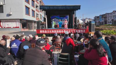 唱大戏猜灯谜   崇阳“三下乡”活动情暖乡村