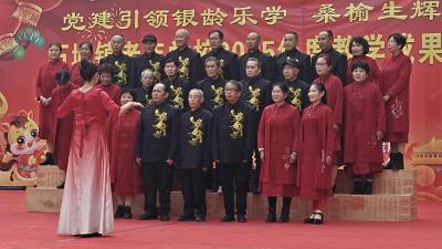 崇阳县石城镇：银发舞台绽芳华