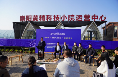 接地气！崇阳这场田间发布会解密林下藏“金”新“钱”景