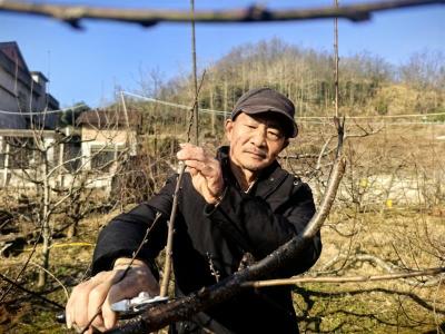 舒阳雄：育万千好苗  绘致富蓝图