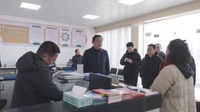 孟科专题调研崇阳县信访维稳和社会治理等工作