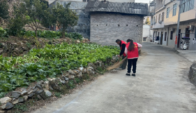 崇阳县高枧乡：清洁家园迎新春