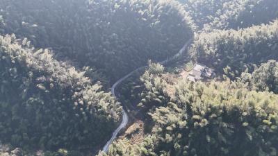 崇阳县宝林村：路桥升级护民生