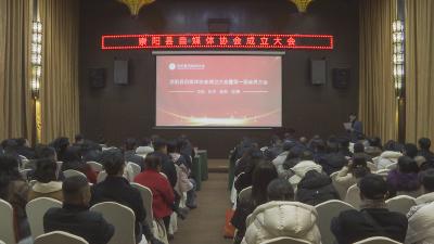 崇阳县自媒体人有“娘家”了！