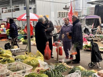 崇阳初雪催甜“时令菜”   市民品尝“舌尖上的冬味”