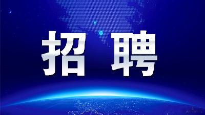 崇阳老乡看过来！“春风行动”喊你家门口找工作、学技能啦！