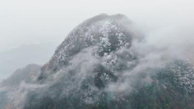 冬日限定！崇阳樱花谷现绝美冰凌奇景