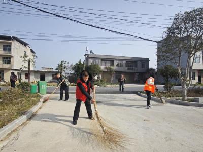 崇阳县沙坪村开展公共区域集中清理整治