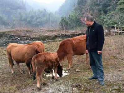 咸宁崇阳：小产业写出富民“大文章”