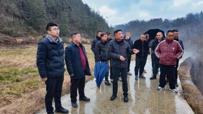 崇阳县桂花泉镇：观摩培训强技能   激活林下经济新动能