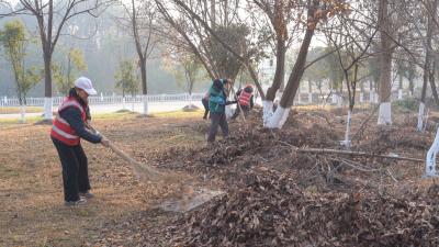 崇阳县城管执法局：百日攻坚“绣”出净美崇阳