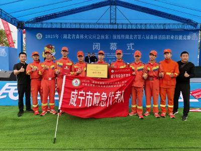 祝贺！崇阳县消防救援大队程林伟荣获省赛个人三等奖