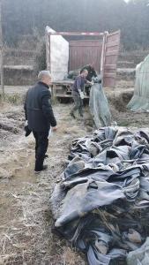 “清洁家园”再发力   崇阳县铜钟乡靶向治理农田“白色污染”