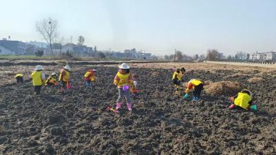 崇阳：田间课堂开讲！萌娃解锁马蹄的“成长密码”