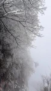 【微视】早安·大美崇阳