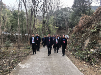 崇阳县桂花泉镇：人大代表引领林下“掘金”  绘就乡村振兴新图景