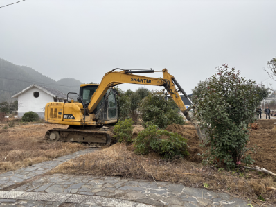崇阳县港口乡：“清洁家园”再推进   闲置资源变身“增收药园”