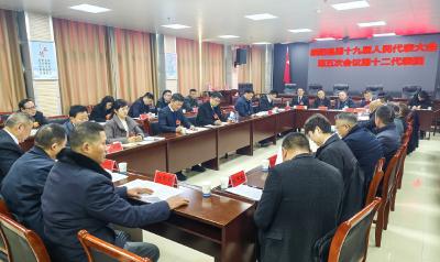 崇阳县第十九届人民代表大会第五次会议代表分团审议