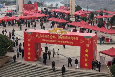 打年货、赏民俗、找工作......崇阳县天城镇“城”邀您来赶大集！