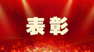 中共崇阳县委、崇阳县人民政府关于表扬集体和个人的通报