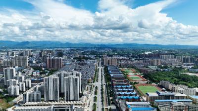 崇阳：精细化治理“绣”出城市新容颜