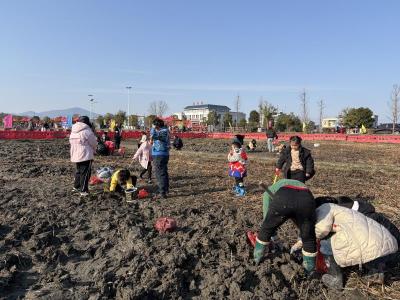 崇阳：马蹄凝年味   新春添清甜