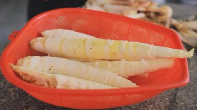 雷笋报新春   鲜香溢崇阳