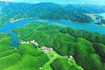 崇阳县天城镇：“城”邀您来赶年货  共赏2025精彩答卷