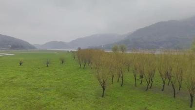 春日崇阳 十里画廊