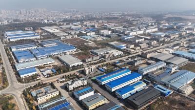 崇阳：新春坚守忙生产  政企同心开新局