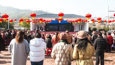 【新春走基层】品乡味赏好戏闹新春  崇阳县高枧乡新春赶集活动热闹开市