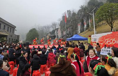 【新春走基层】崇阳：青山好物焕新颜  乡约助农年味浓