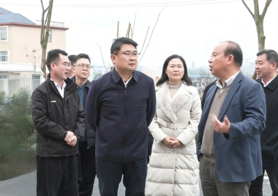 徐望调研重点项目建设工作：现场办公解难题  提速攻坚促发展