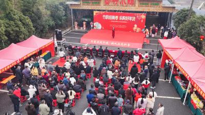 【新春走基层】烟火气里迎新春！崇阳县桂花泉镇新春赶集展销活动热闹开场