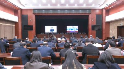 崇阳县收视收听全市审计工作电视电话会议