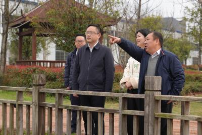 孟科调研全县生态环境整治工作