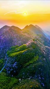 【微视】早安·大美崇阳