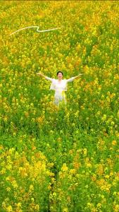 【微视】早安·大美崇阳