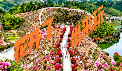 崇阳赏花攻略来啦！一起去赴一场繁花之约吧~