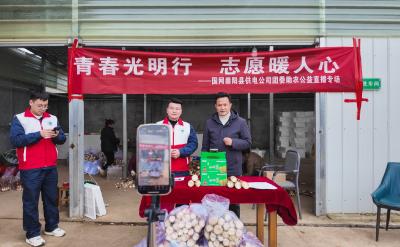 为家乡雷笋打call！国网崇阳县供电公司团委开展助农直播活动