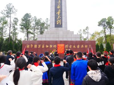 崇阳县大集中学：缅怀革命先烈  传承红色基因