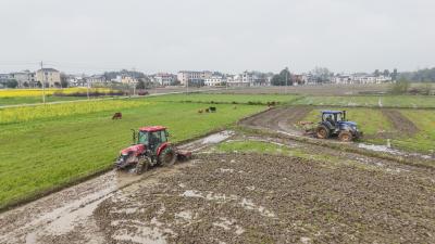 崇阳县青山镇：返乡创业好搭档    携手种好丰收田