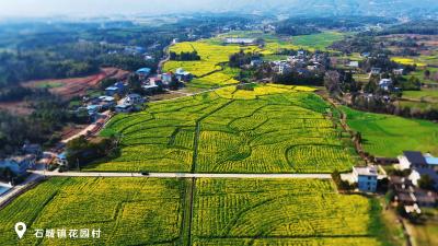 微视|崇阳：阳光作伴，看花去！
