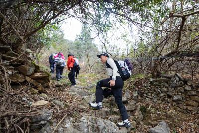 盘龙道“出山”，崇阳县茅井村的山水活起来了！