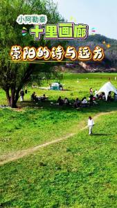 我在崇阳十里画廊，遇见诗与远方