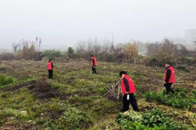 崇阳县天城镇：拉网踏查守净土   禁种铲毒在行动