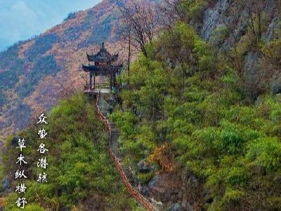 海报丨惊蛰启序 春意渐浓