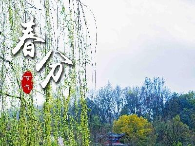 海报丨花绽春分 风暖人间