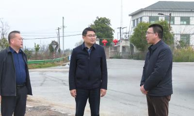徐望到青山镇调研督导重点项目建设工作时强调：推进“生态+”融合  绘就绿水青山新画卷