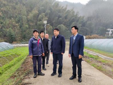 徐望深入桂花泉镇、天城镇调研时强调：深耕返乡创业沃土  因地制宜发展特色经济